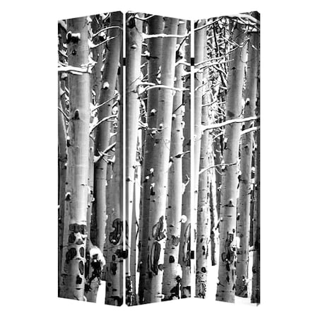 Decoracion Home Decor Birch Screen DE3097417